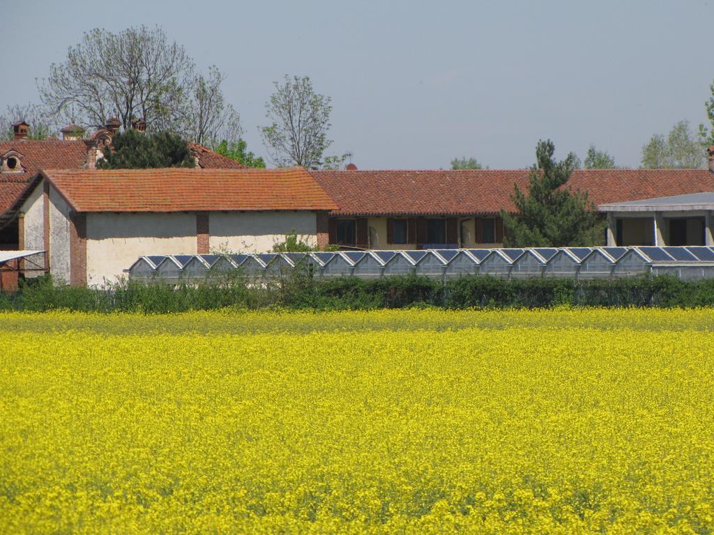 Al Casale B&B Cherasco Bagian luar foto