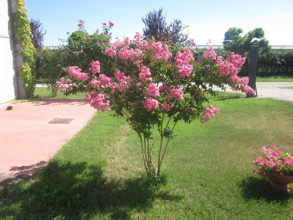 Al Casale B&B Cherasco Bagian luar foto